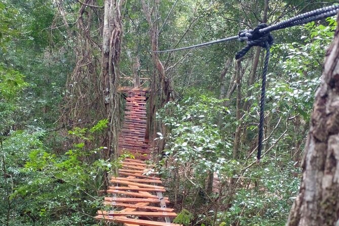 Shared ATV's and Zip Lines and Swimming in a Real Cenote. - What the $72 price really covers