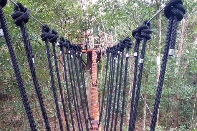 Shared ATV's and Zip Lines and Swimming in a Real Cenote. - Who will get the most from this outing