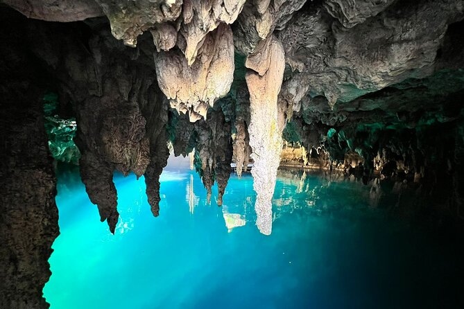 Single ATV, Horseback Riding, Ziplines and Cenote Swim - Who will enjoy this best