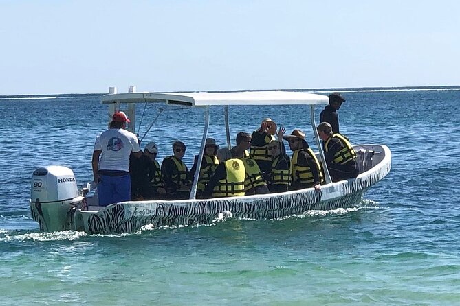 Small-Group Mesoamerican Barrier Reef Snorkeling in Puerto Morelos - What the $45 price really buys you