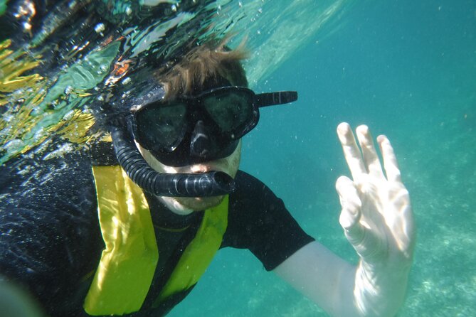 Small-Group Mesoamerican Barrier Reef Snorkeling in Puerto Morelos - Best for families, beginners, and short stays