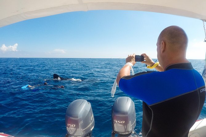 Small Group Whale Shark Encounter - 10 years in business - What the $199 price really covers