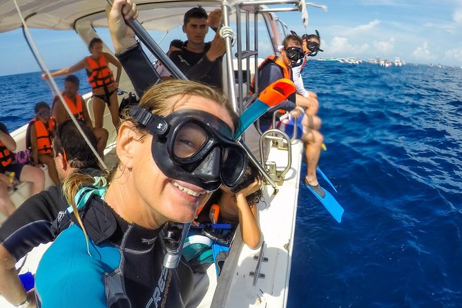 Small Group Whale Shark Encounter - 10 years in business - Who should book this outing