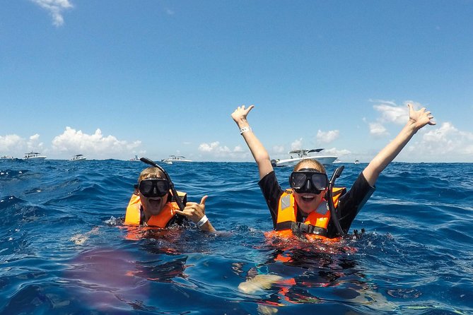Small Group Whale Shark Encounter - 10 years in business - Small details that make the day easier