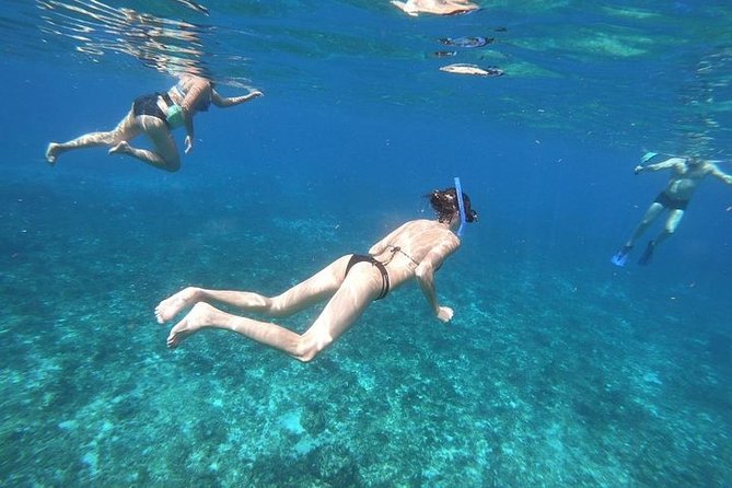 Snorkel Adventure at Cozumel! Transportation from Cancun & Playa Del Carmen - Palancar Reef and Colombia Reef by motor boat