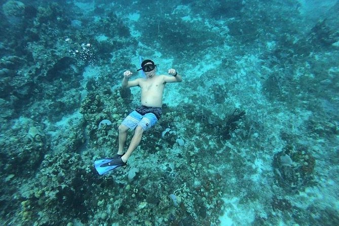 Snorkel Adventure at Cozumel! Transportation from Cancun & Playa Del Carmen - Two hours in downtown Cozumel