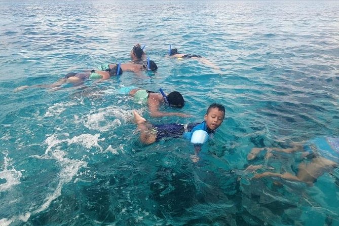 Snorkel Adventure at Cozumel! Transportation from Cancun & Playa Del Carmen - The early pickup from Cancun or Playa del Carmen