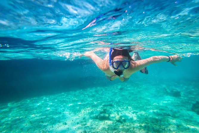 Snorkel and swim in Cozumel el Cielo Reef, Palancar and Colombia - The early hotel pickup and trip to Playa del Carmen