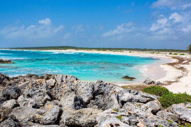 Snorkel and swim in Cozumel el Cielo Reef, Palancar and Colombia - El Cielo Starfish Reef and the open-water stops