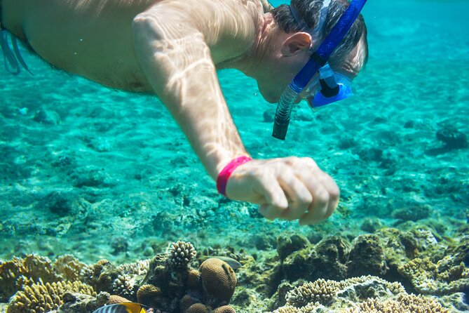 Snorkel and swim in Cozumel el Cielo Reef, Palancar and Colombia - The service questions I would settle before departure