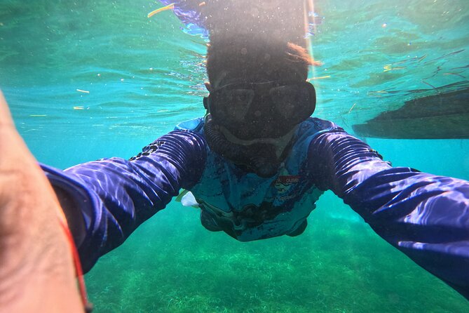 Snorkel at the Reef 2 HOURS Puerto Morelos National park - The value of a maximum 10-person group