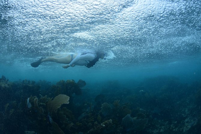 Snorkel, ATV, Zipline and Cenote Adventure from Cancun - The late meal and the real cost