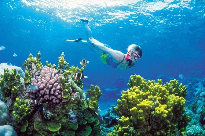 Snorkel, ATV, Zipline and Cenote Adventure from Cancun - Steering a boat toward the Puerto Morelos reef