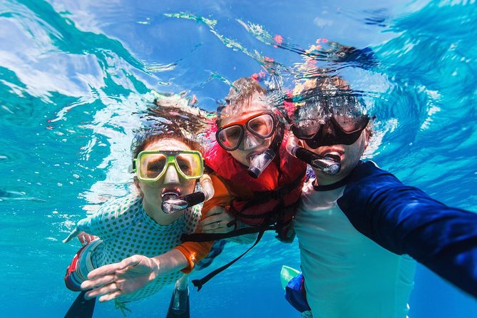 Snorkel in El Cielo Cozumel Reef with Lunch, Beach and Transport - The weak point is not the reef, it is the logistics