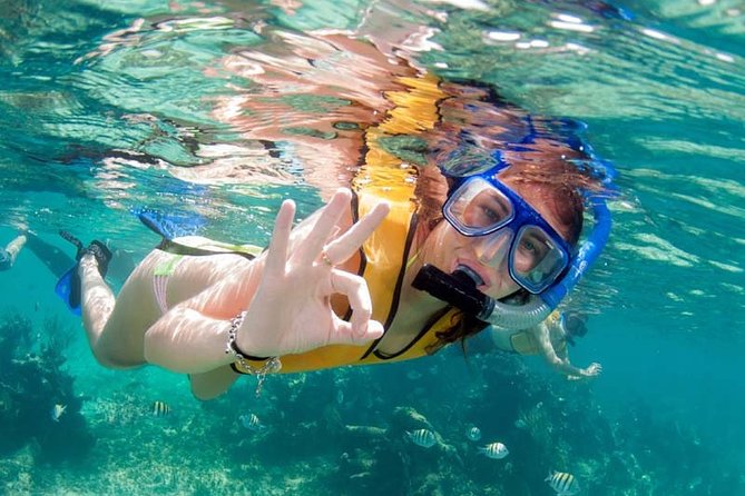 Snorkel in the second largest reef in the world Colorful tour in Puerto Morelos - The marine life can make the day worthwhile