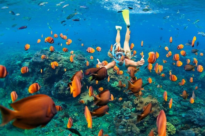 Snorkel in the second largest reef in the world Colorful tour in Puerto Morelos - Reaching National Reef Park by boat