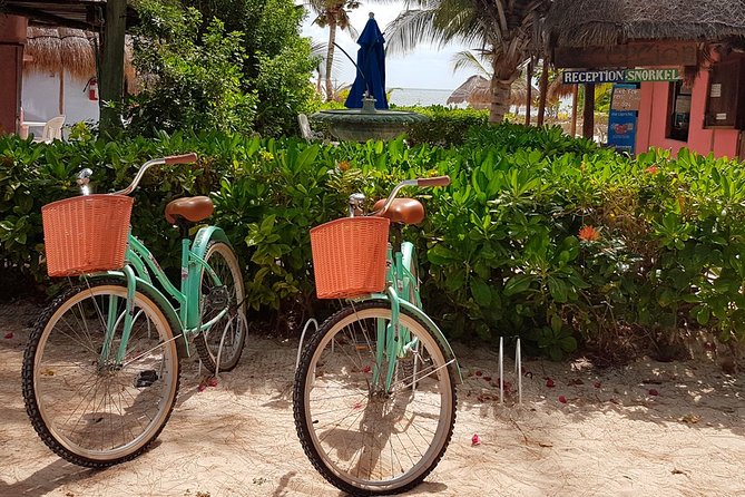 Snorkel in the turquoise Caribbean Sea in Puerto Morelos. Transport included - Who Will Get the Most From This Tour