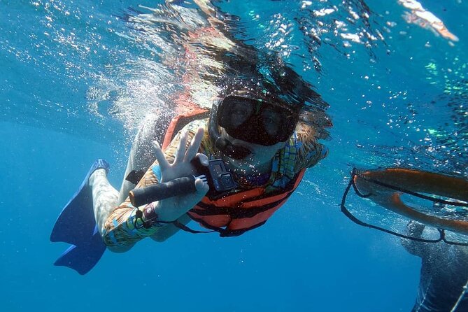 Snorkel Tour at Musa and Manchones Reef - Is $55 a fair price?