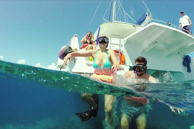 Snorkeling Adventure in Isla Mujeres - Snorkeling above the underwater museum