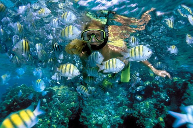 Snorkeling Adventure in Isla Mujeres - Lunch at the private beach club
