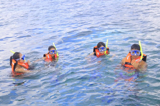 Snorkeling Adventure in Puerto Morelos Includes snack, Water and Round Trip. - What snorkeling feels like in a group of 15 to 20