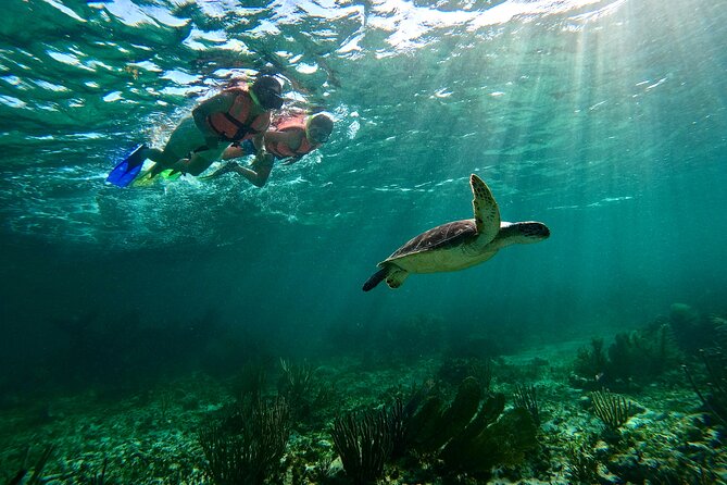 Snorkeling Guided Activity in Puerto Morelos Mexico - Two 40-minute stops, with the reef as the main event