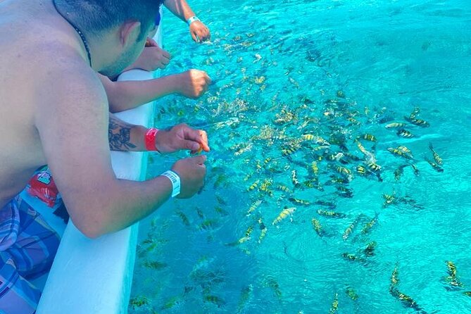 Snorkeling in Isla Mujeres and Underwater Museum - Is $59.74 good value?