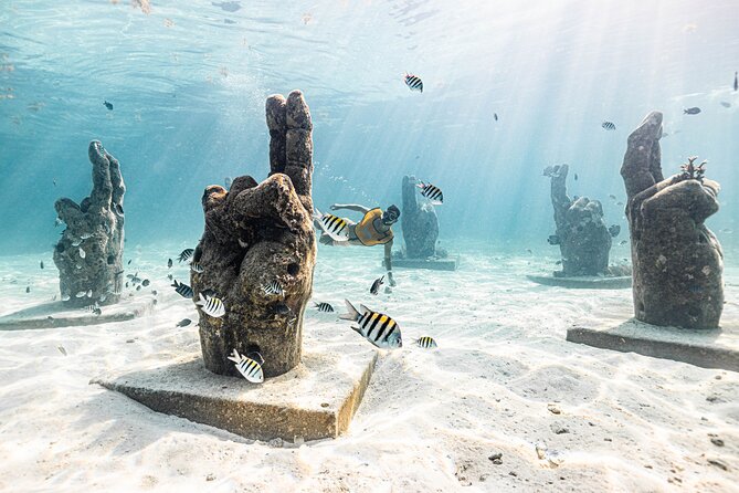 Snorkeling Tour with Turtles and Stingrays Puerto Morelos - Swimming with turtles near Puerto Morelos