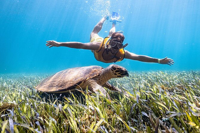 Snorkeling Tour with Turtles and Stingrays Puerto Morelos - A half-day plan from Cancun to the marina