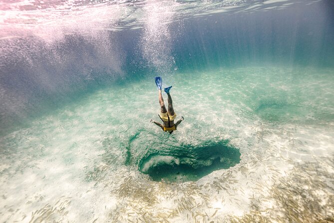 Snorkeling Tour with Turtles and Stingrays Puerto Morelos - The marina facilities are a real advantage