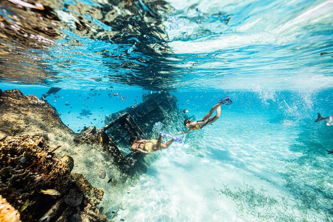 Snorkeling Tour with Turtles and Stingrays Puerto Morelos - Who will enjoy this most