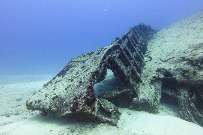 SPECIAL!! 2 Tank Wreck & Drift Reef dives - The reef tank brings motion and variety