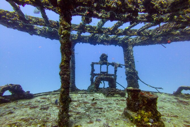 SPECIAL!! 2 Tank Wreck & Drift Reef dives - Price, equipment, and the real value