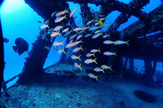 SPECIAL!! 2 Tank Wreck & Drift Reef dives - Who should book this outing