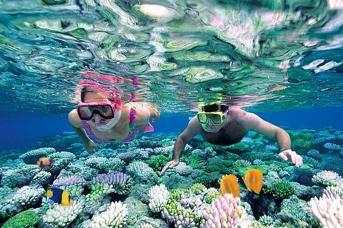 Special offer COMBO 2x1 (Tour to Isla Mujeres and Chichén Itzá ) for 1 price! - Who will enjoy this combo most
