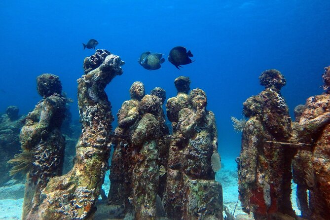 SPECIAL! Snorkel at MUSA - The Underwater Museum Reservation - Equipment, safety, and comfort in the water