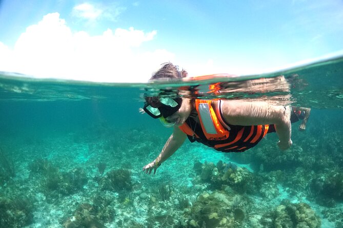 Speed boat aventure and snorkel - Should you book the Cancun speedboat and snorkel tour?