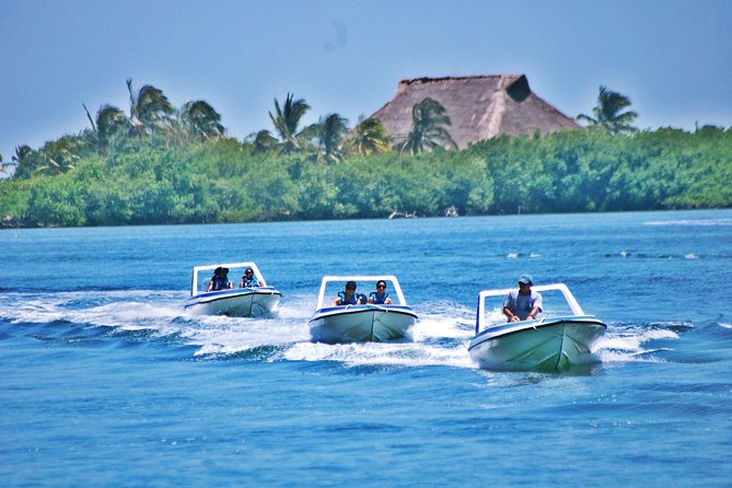 Speed Boat & Snorkel Tour with transportation ( only Cancun zone area) - From Cancun’s Hotel Zone to Sealife Marina