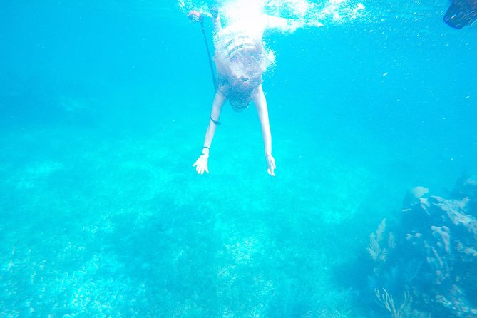 Speed Boat & Snorkel Tour with transportation ( only Cancun zone area) - The route through mangroves and coastal water