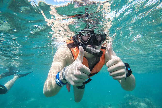 Speedboat adventure in cancun waters - The real cost beyond the $28 headline price