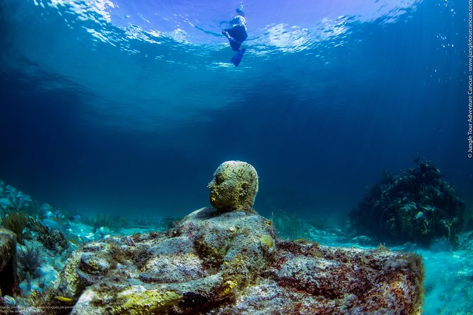 Speedboat and snorkel tour: Single Passenger Boat - Snorkeling near coral reefs and the Underwater Museum