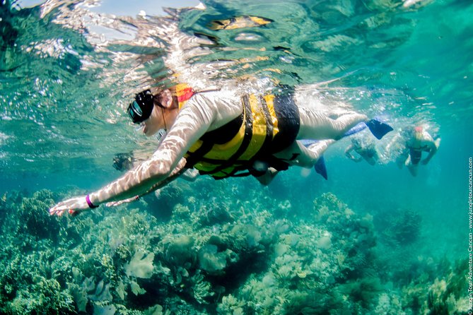 Speedboat and snorkel tour: Single Passenger Boat - Who will enjoy this speedboat tour most