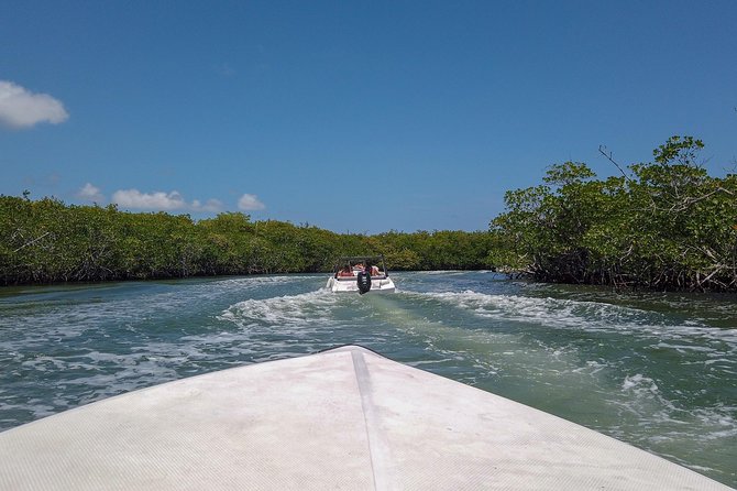 Speedboat and snorkel tour: Single Passenger Boat - What happens at the marina before departure