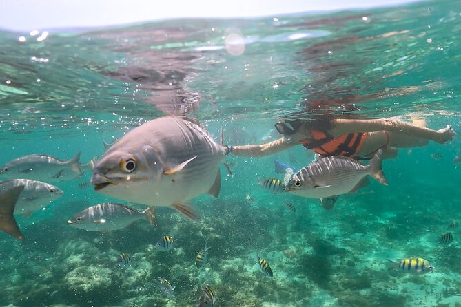 Speedboat and Snorkeling in Cancun with Mayan Ceremony & Tasting - Beginning with a Mayan purification ceremony
