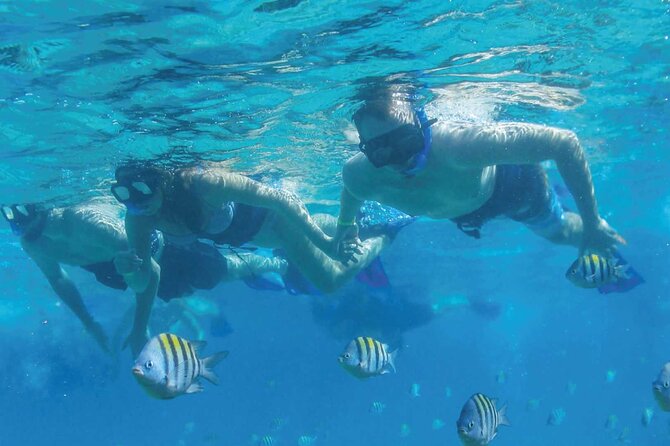 Speedboat Excursion: Thrilling Drive & Snorkel in Cancun Lagoon! - Equipment and guide support