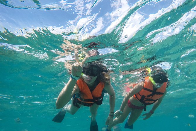 Speedboat jungle tour and snorkel - Who will enjoy this Cancun water outing