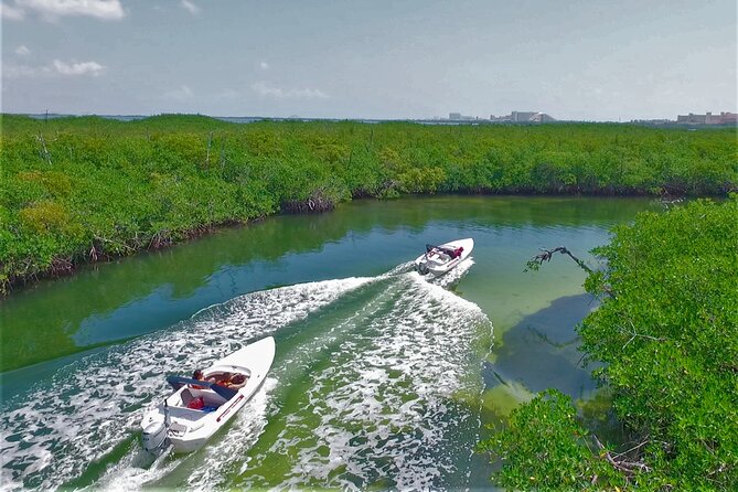 SpeedBoat Jungle Tour + Snorkel Experience in Cancun - Snorkeling Among Cancun’s Marine Life