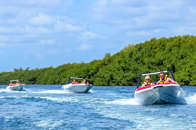 SpeedBoat Jungle Tour + Snorkel Experience in Cancun - The Real Price: $54 Plus the Dock Charge