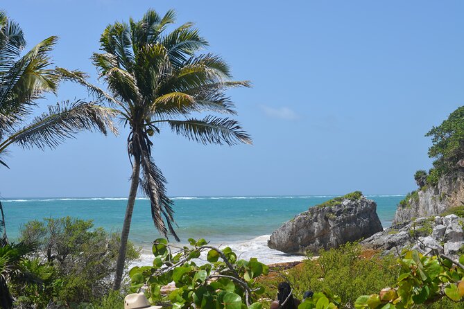 Swim with Turtles in Akumal, Cenote and Tulum Ruins Tour - Swimming beside turtles in Akumal