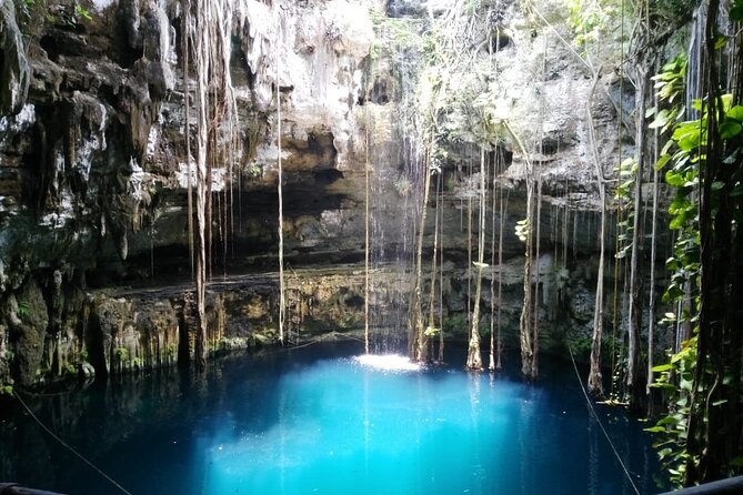 Swim with turtles + snorkelling + archaeological zone of Tulúm + cenote - How private is this private tour?